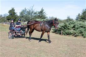 LR-WRF 10182025 Retreat-6473